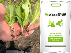 ϵ؅^߲Ħˮܷʜʛ]e