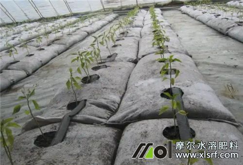 水溶肥追施注意 水溶肥追施注意