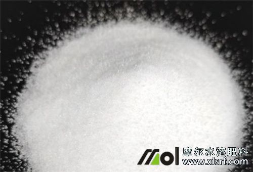 高鉀水溶肥使用時間 高鉀水溶肥使用時間