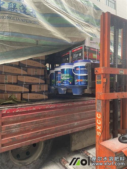 摩爾工廠頂雪極速發(fā)貨中2 摩爾工廠頂雪極速發(fā)貨中2