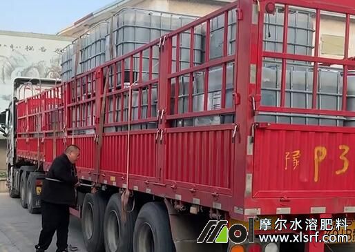 33噸魚蛋白液態肥原料發貨 33噸魚蛋白液態肥原料發貨